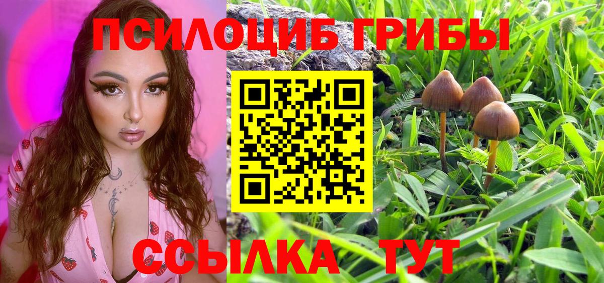 Амурск  Псилоцибиновые грибы прущие грибы  Вход с VPN 